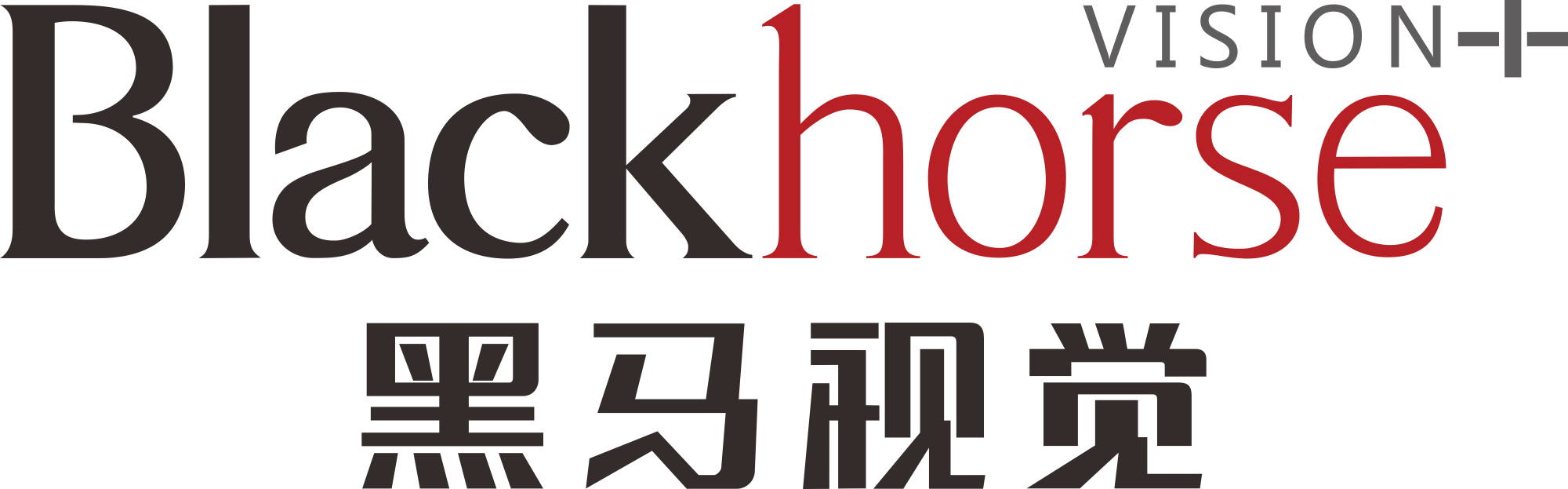 深圳网站建设_深圳网站制作_专业网页开发设计_黑马视觉网络公司